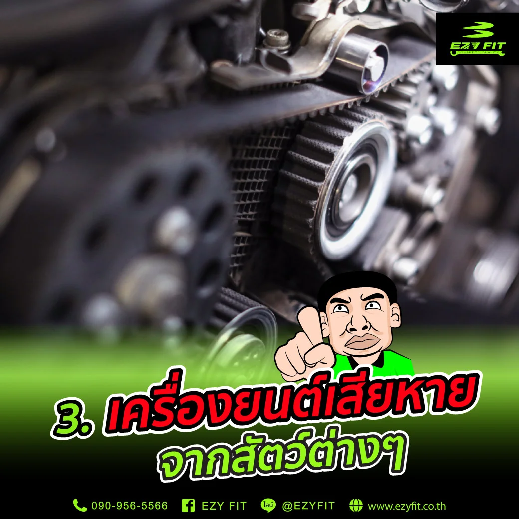 เครื่องยนต์เสียหายจากสัตว์ต่าง ๆ