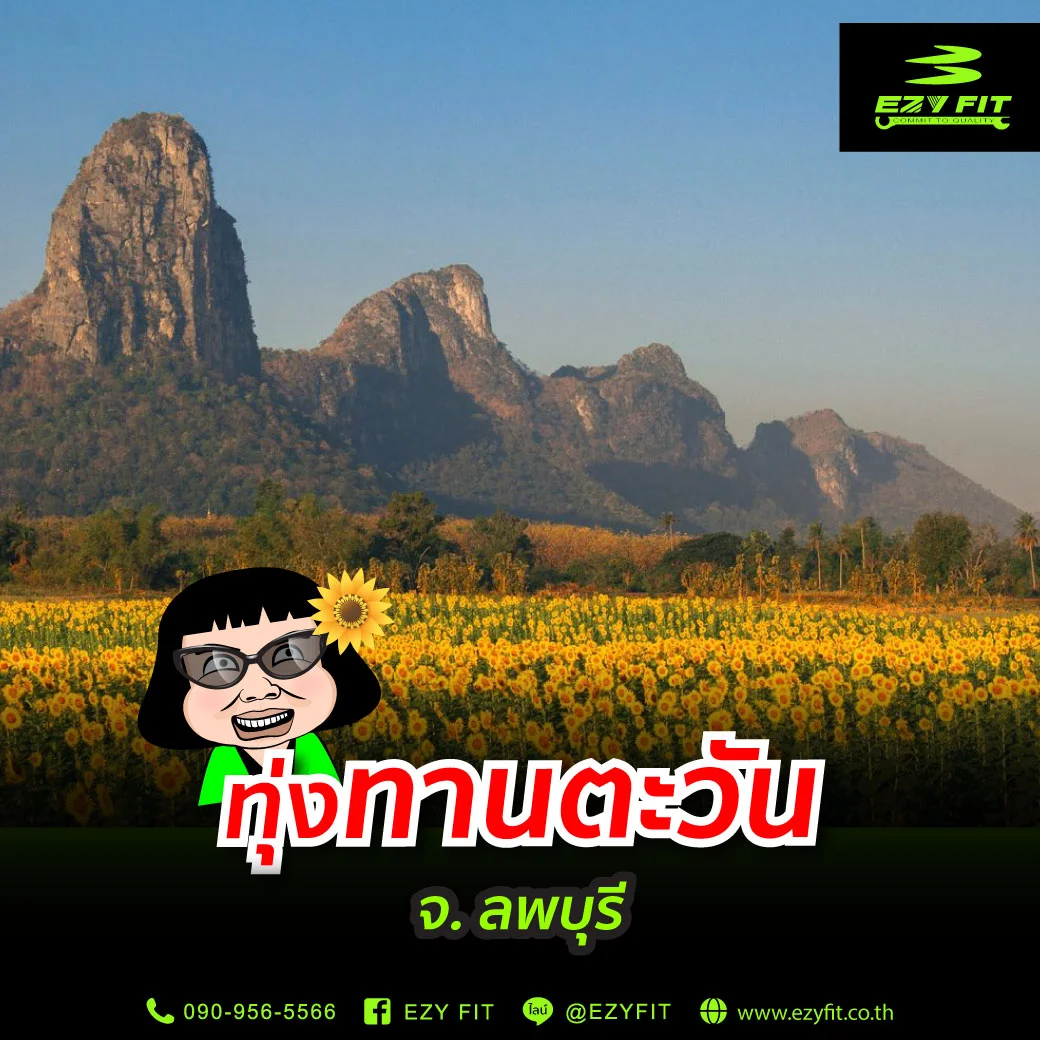 ทานตะวัน